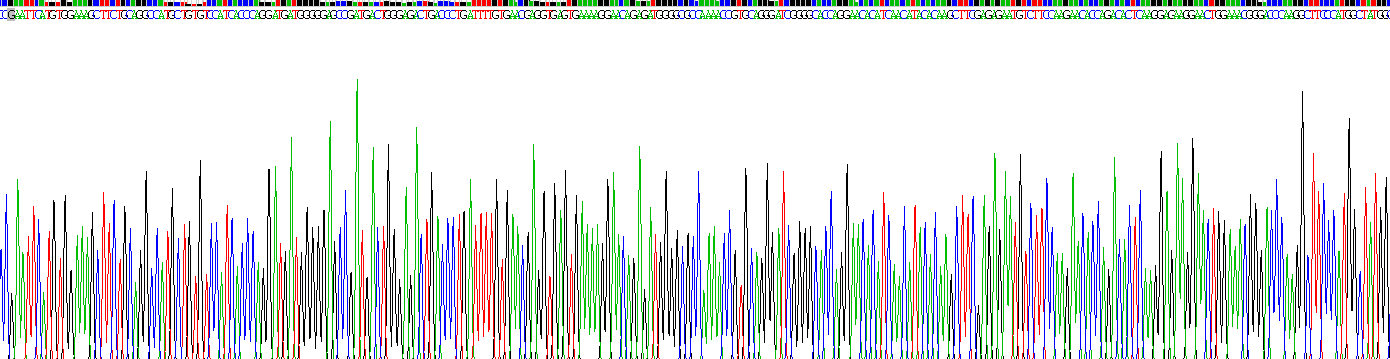 Recombinant Cortactin (CTTN)