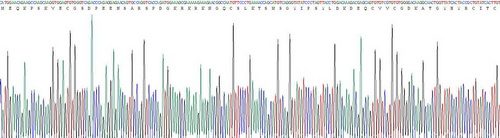 Recombinant Thyroid Hormone Receptor Alpha (THRa)