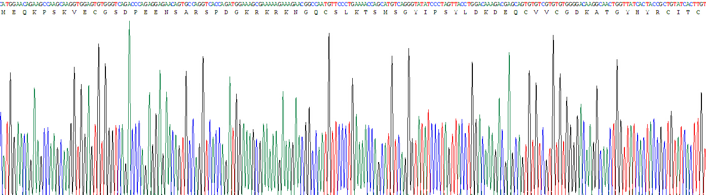 Recombinant Thyroid Hormone Receptor Alpha (THRa)