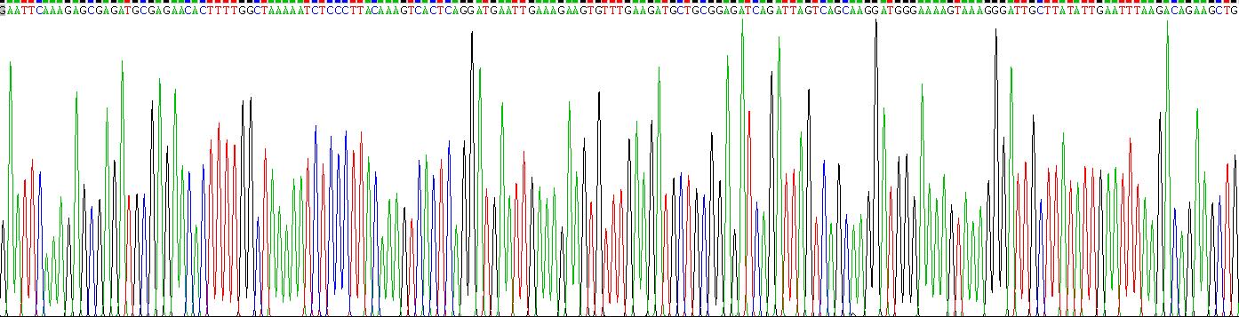 Recombinant Nucleolin (NCL)