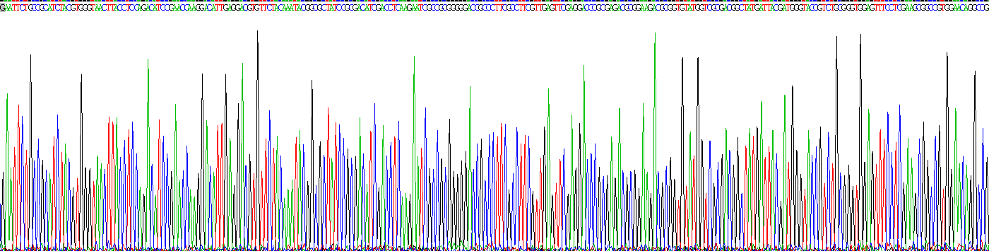 Recombinant Serine/Arginine Rich Splicing Factor 1 (SRSF1)