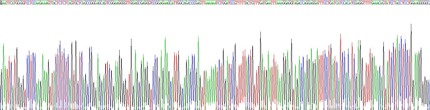 Recombinant Pirin (PIR)