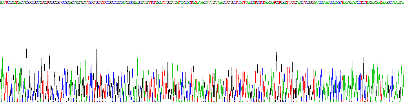 Recombinant Survival Motor Neuron Protein (SMN)