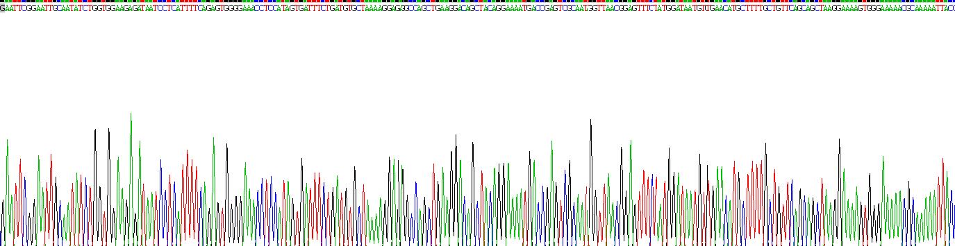 Recombinant Tight Junction Protein 1 (TJP1)