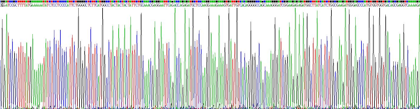 Recombinant 11-Beta-Hydroxysteroid Dehydrogenase Type 1 (HSD11b1)