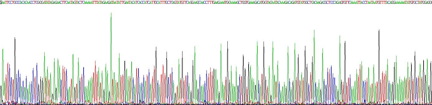 Recombinant Afamin (AFM)