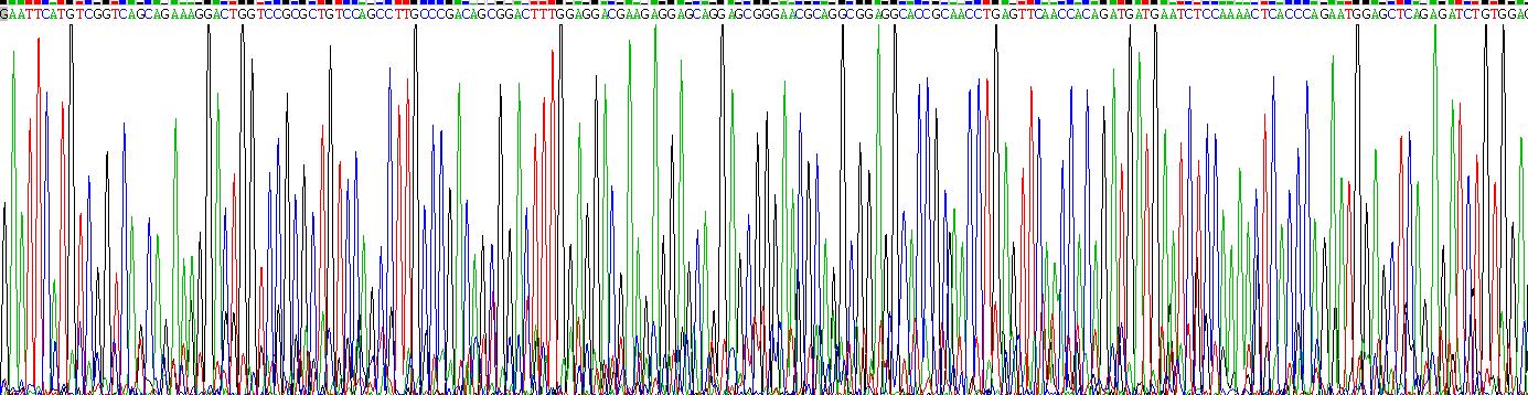 Recombinant Afamin (AFM)