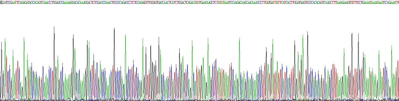 Recombinant Anterior Gradient 2 (AGR2)