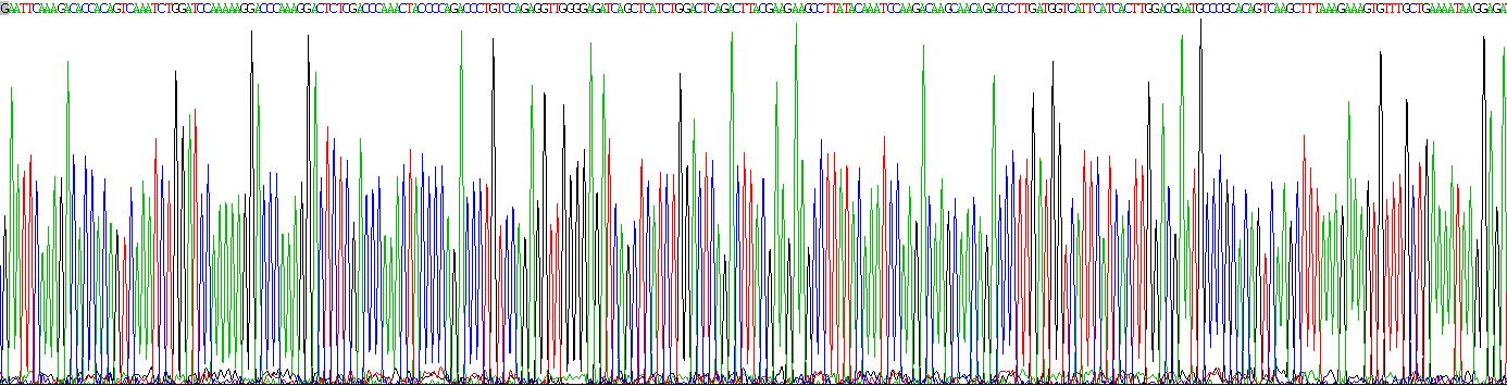 Recombinant Anterior Gradient 2 (AGR2)