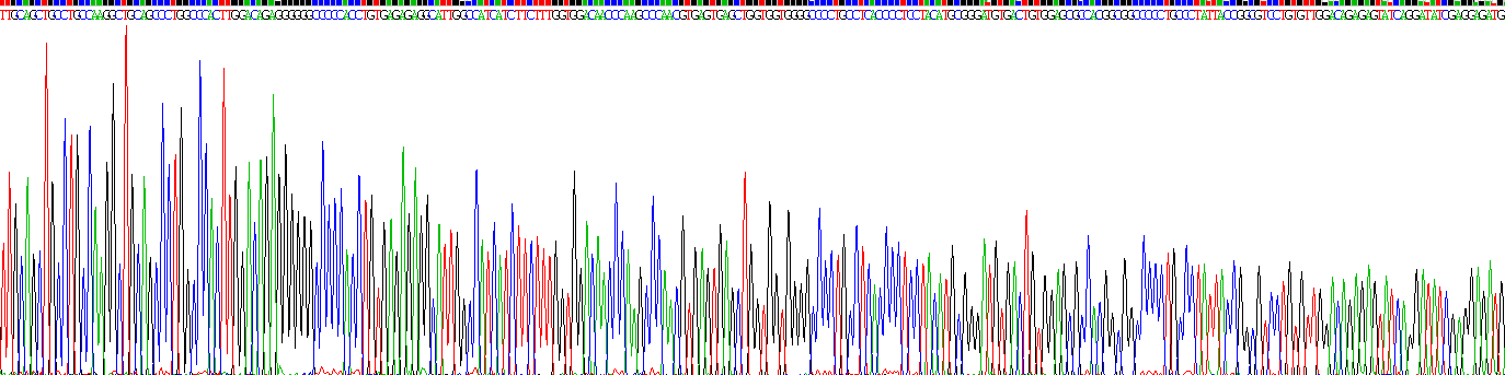 Recombinant Amine Oxidase, Copper Containing 3 (AOC3)