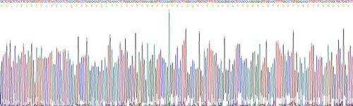 Recombinant Apolipoprotein M (APOM)