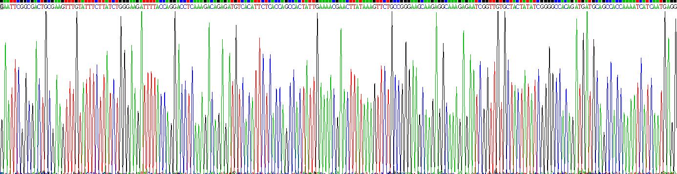 Recombinant Mesencephalic Astrocyte Derived Neurotrophic Factor (MANF)