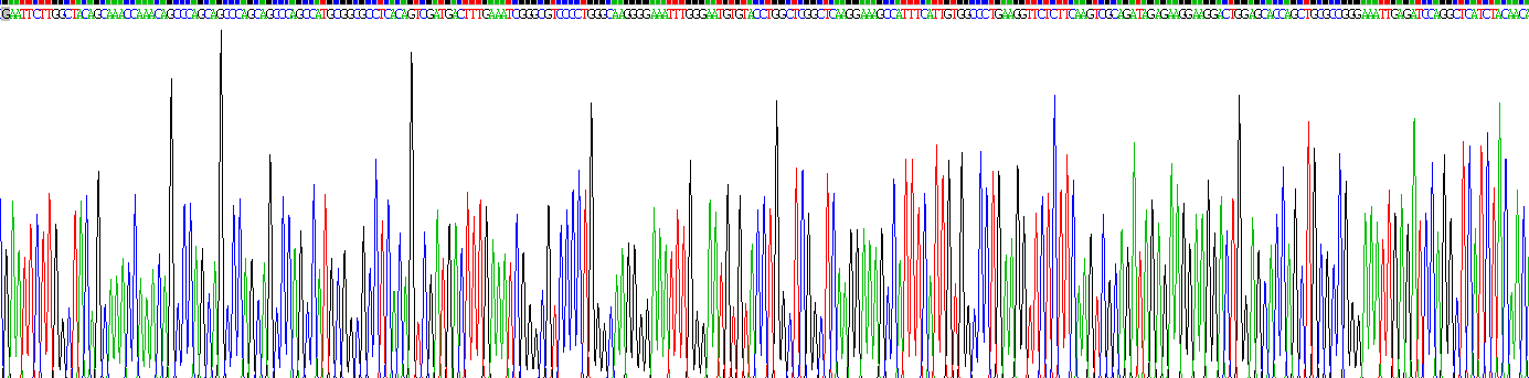 Recombinant Aurora Kinase C (AURKC)