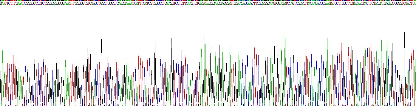 Recombinant Aurora Kinase C (AURKC)