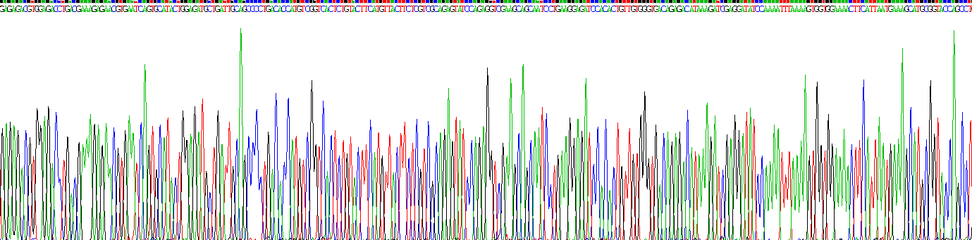 Recombinant Aromatase (ARO)