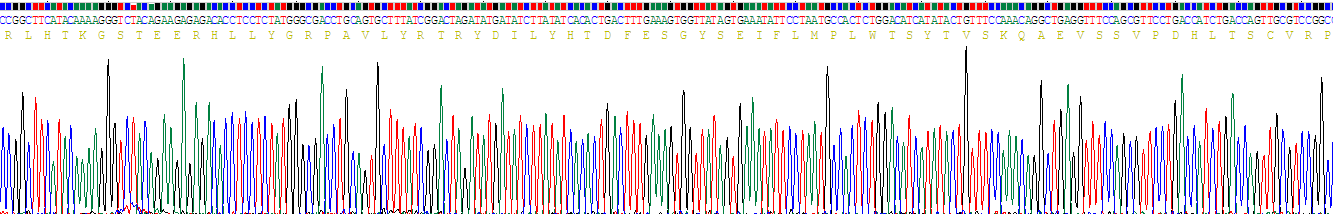 Recombinant Ectonucleotide Pyrophosphatase/Phosphodiesterase 2 (ENPP2)