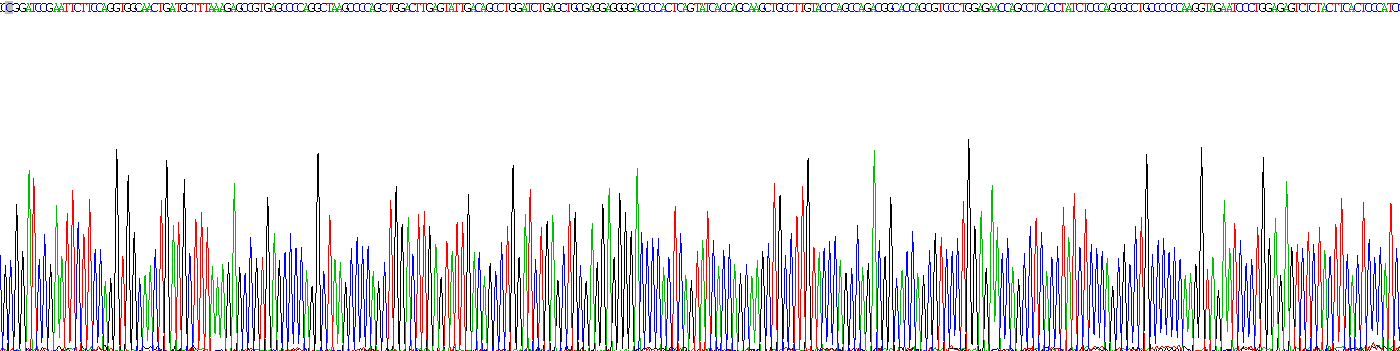 Recombinant Nuclear Mitotic Apparatus Protein 1 (NUMA1)