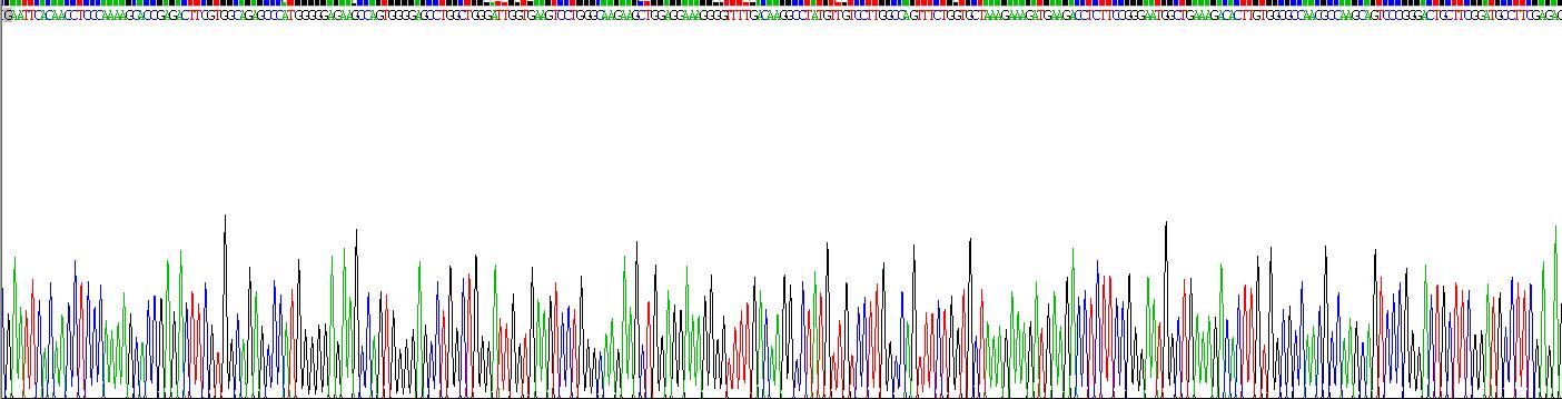 Recombinant Barrier To Autointegration Factor 1 (BANF1)