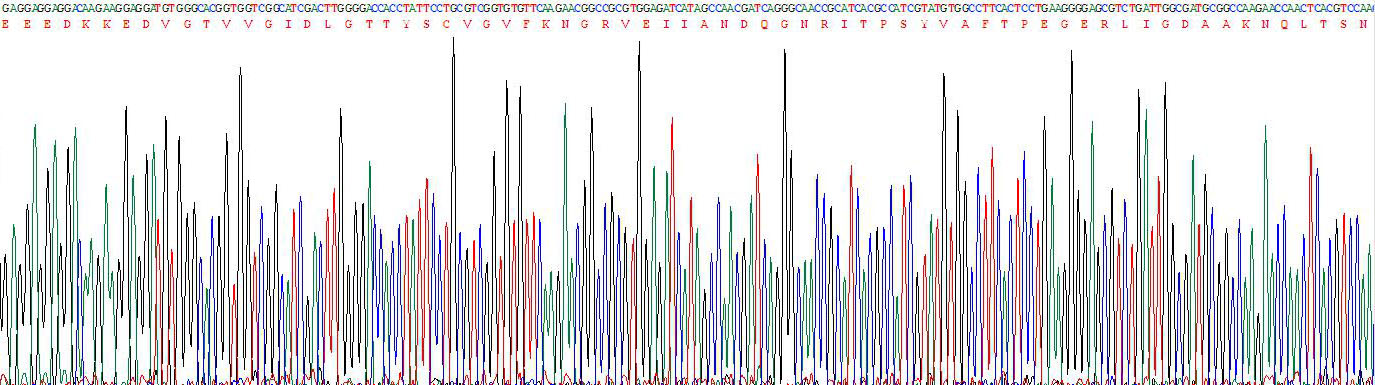 Recombinant Heat Shock 70kDa Protein 5 (HSPA5)