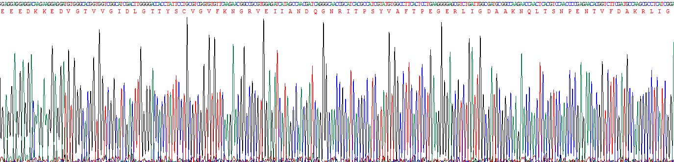 Recombinant Heat Shock 70kDa Protein 5 (HSPA5)