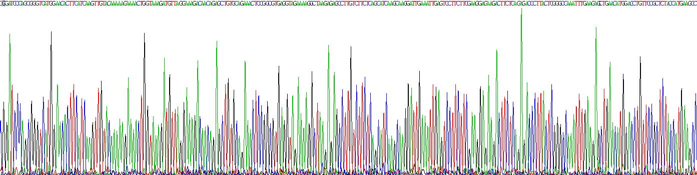 Recombinant Heat Shock 70kDa Protein 5 (HSPA5)