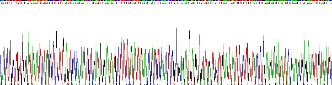 Recombinant Butyrylcholinesterase (BCHE)