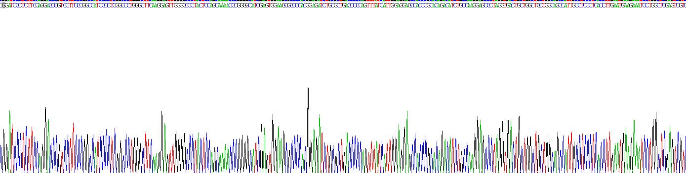 Recombinant Calpain 2 (CAPN2)