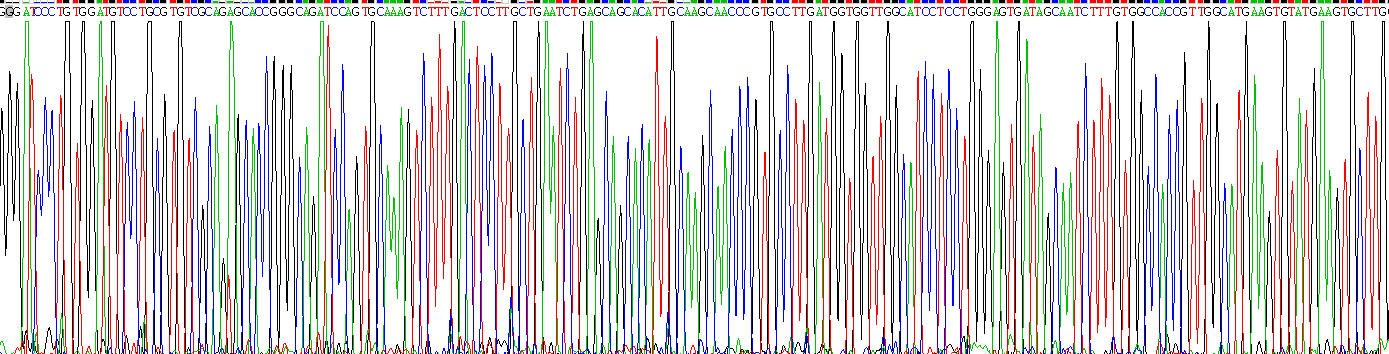 Recombinant Claudin 1 (CLDN1)