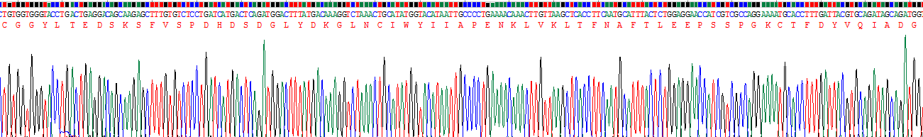 Recombinant Cubilin (CUBN)