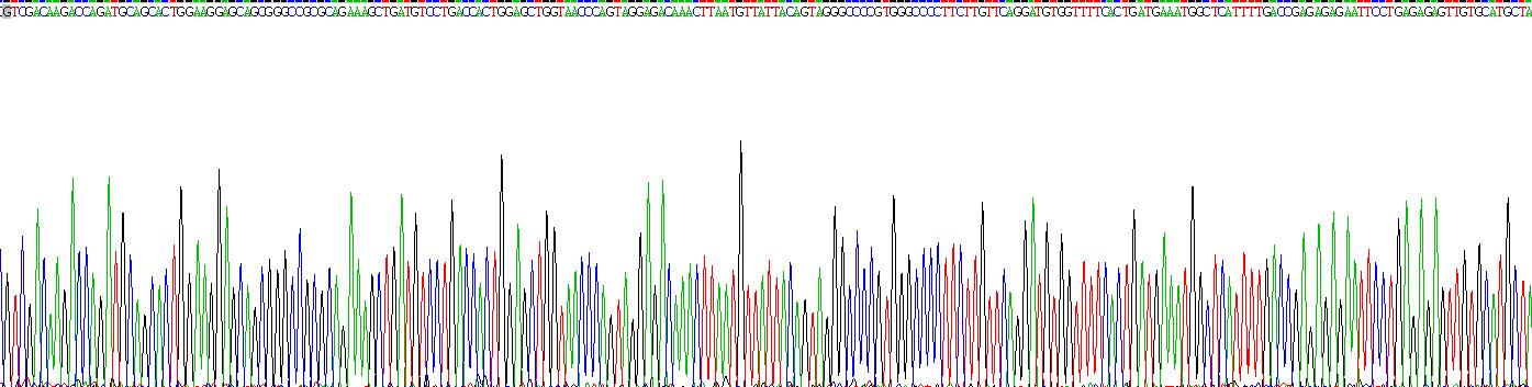 Recombinant Catalase (CAT)