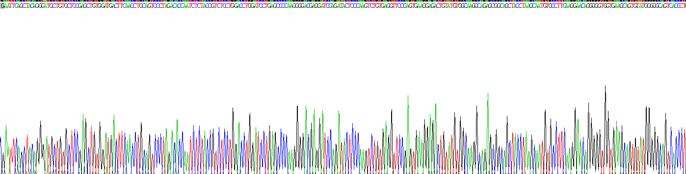 Recombinant Cathelicidin Antimicrobial Peptide (CAMP)