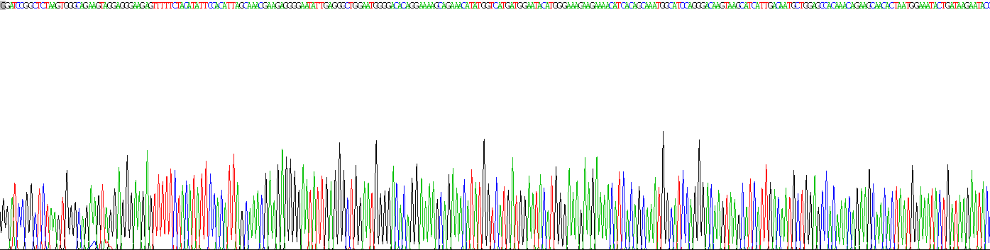 Recombinant Dentin Sialophosphoprotein (DSPP)