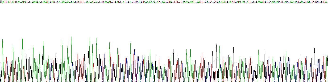 Recombinant Dystrobrevin Alpha (DTNa)