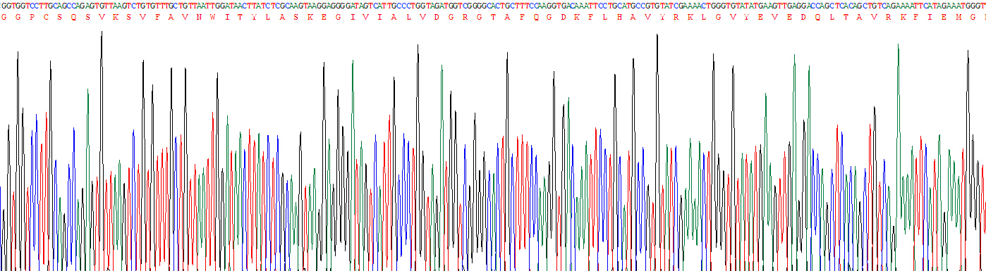 Recombinant Fibroblast Activation Protein Alpha (FAPa)