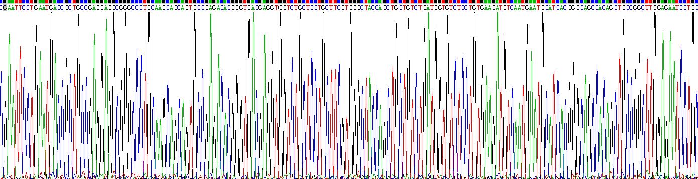 Recombinant Fibulin 1 (FBLN1)