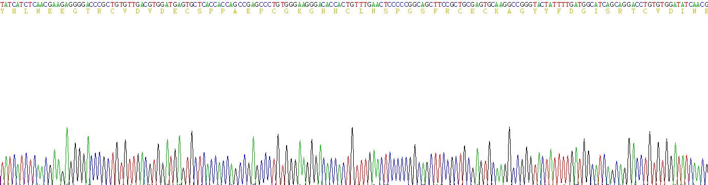 Recombinant Fibulin 1 (FBLN1)