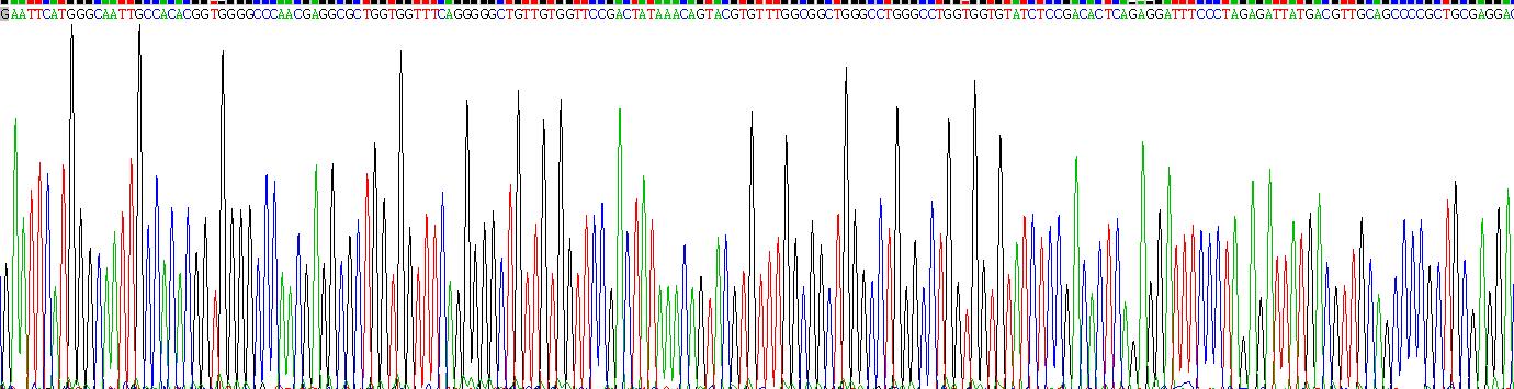 Recombinant Flotillin 2 (FLOT2)