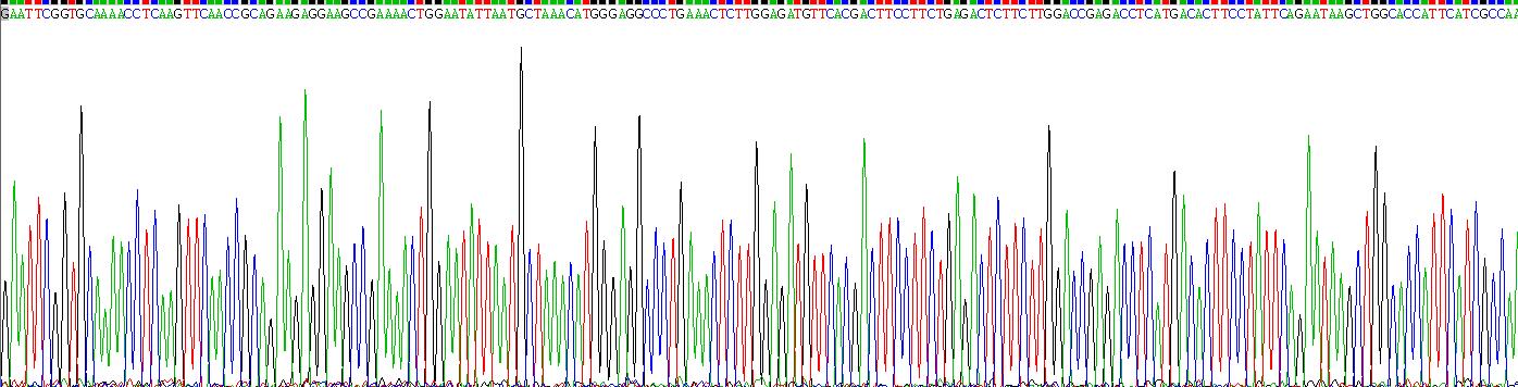 Recombinant Ferrochelatase (FECH)