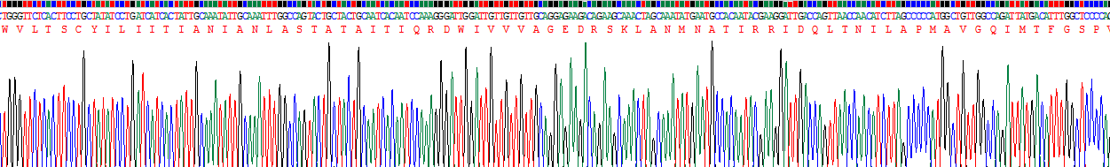 Recombinant Ferroportin (FPN)