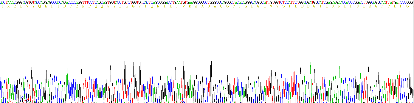 Recombinant Furin (FUR)