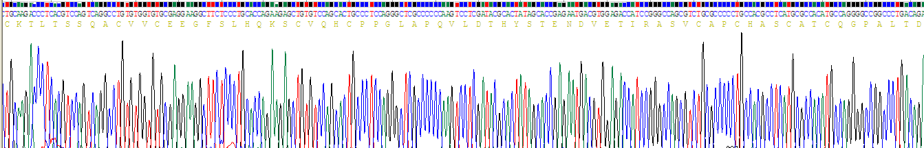 Recombinant Furin (FUR)