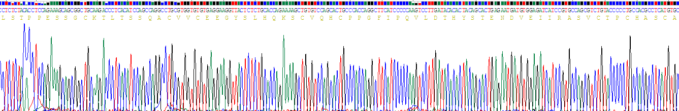 Recombinant Furin (FUR)