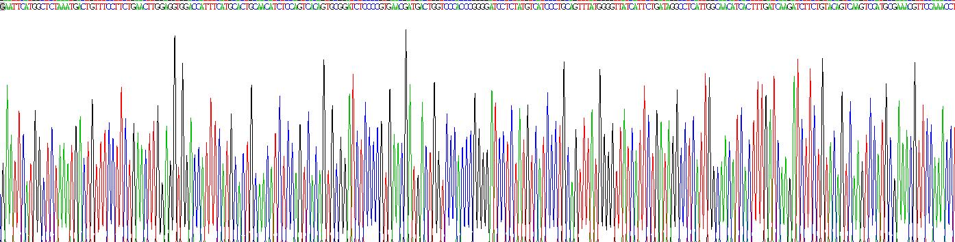 Recombinant Gastrin Releasing Peptide Receptor (GRPR)