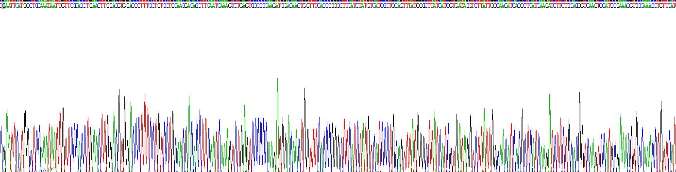 Recombinant Gastrin Releasing Peptide Receptor (GRPR)