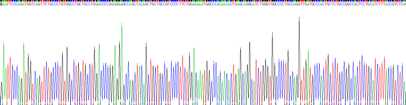 Recombinant Granulin (GRN)