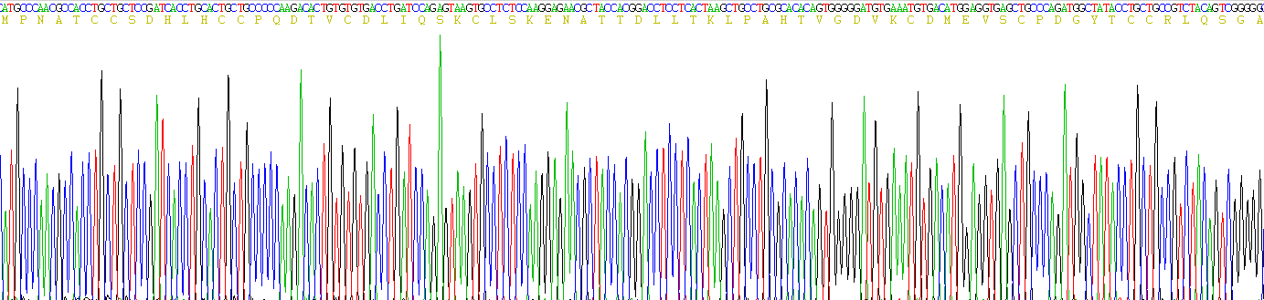 Recombinant Granulin (GRN)