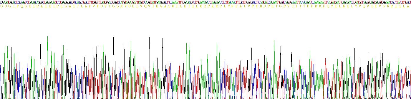 Recombinant Hemicentin 1 (HMCN1)