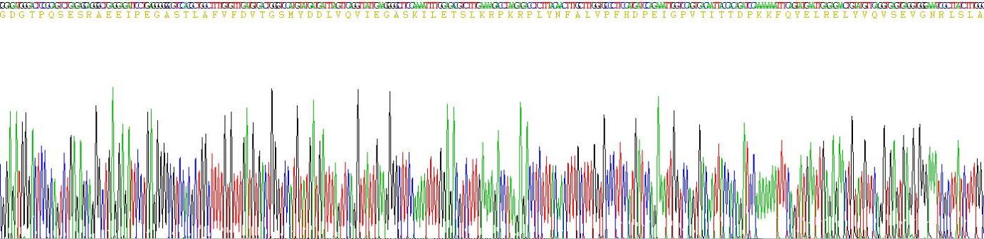 Recombinant Hemicentin 1 (HMCN1)