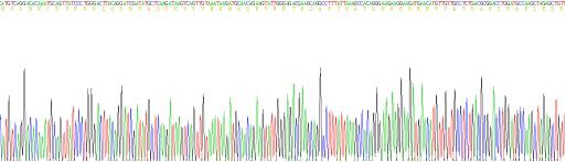 Recombinant Islet Cell Autoantigen 1 (ICA1)