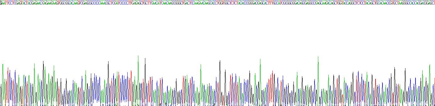 Recombinant Insulin Receptor Substrate 1 (IRS1)